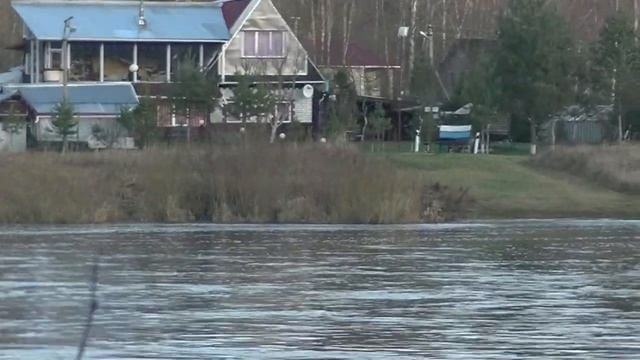 Рыбалка 2020 в Ленинградской области. Новогодняя щука на спиннинг . 2 января река Луга. смотреть онлайн