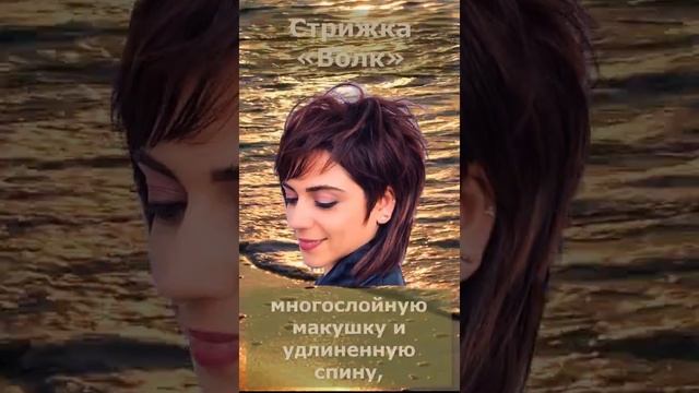 Стрижка «Волк» #Shorts смотреть онлайн