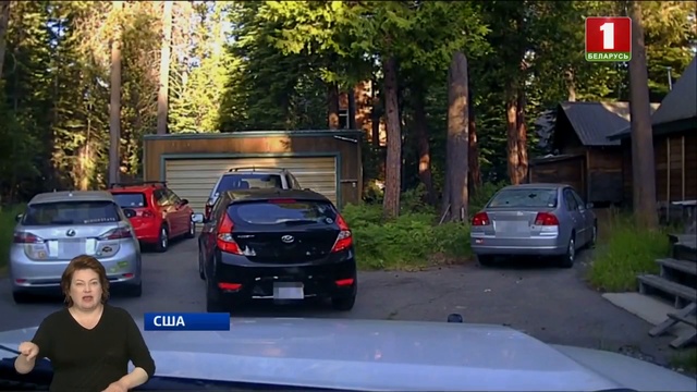 Медведь забрался в автомобиль и захлопнул за собой дверь