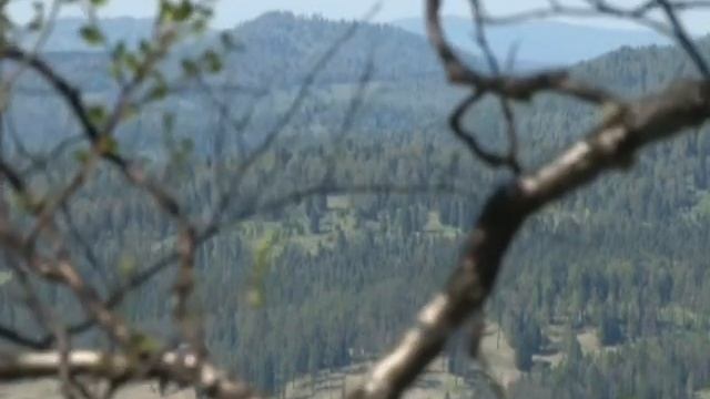 Презентация проекта Седьмое небо.