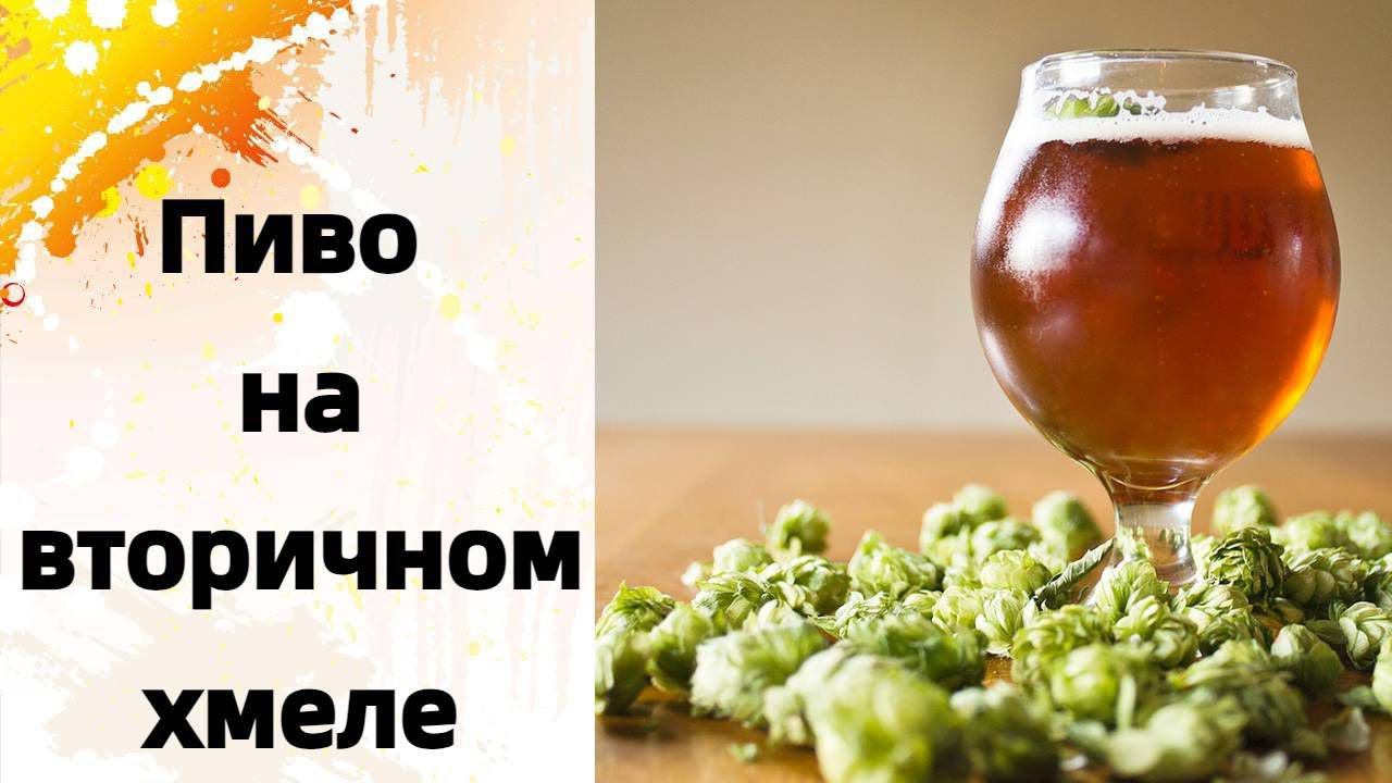 Пиво на отработанном хмеле!Второе использование хмеля для варки пива!Эксперимент + Дегустация! смотреть онлайн