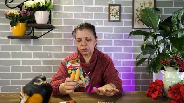 САЖАЙТЕ КУКУРУЗУ  ✿ ЛУЧШИЕ СОСЕДИ КУКУРУЗЫ НА ОГОРОДЕ