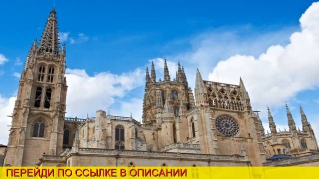 авиабилеты 4pda смотреть онлайн