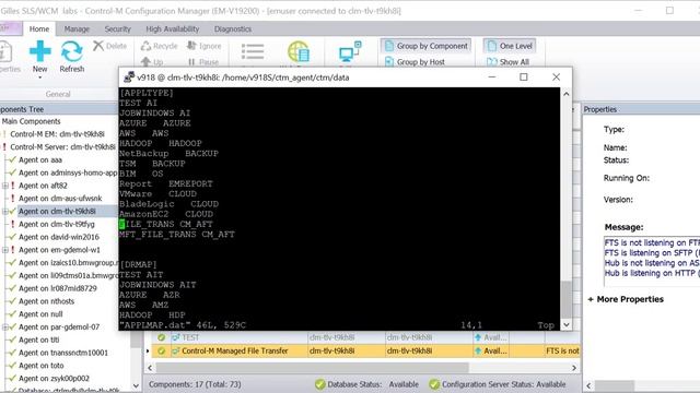 Solving "Failed to create or connect to container: Connection refused" after upgrading Control-M MF смотреть онлайн