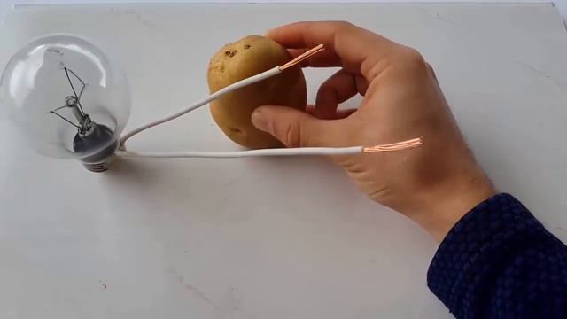 Free Energy Light Bulbs - 220v using Potato смотреть онлайн