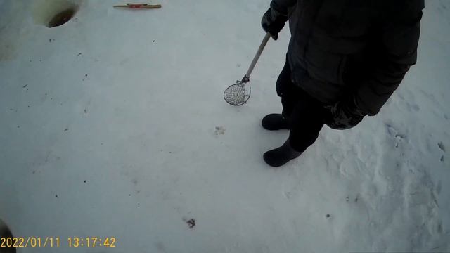 Январская рыбалка на Амуре 2022 смотреть онлайн