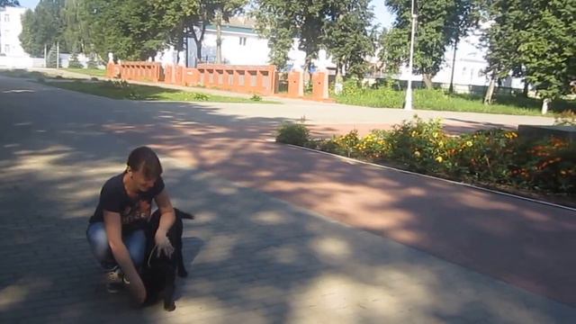 Ошибки начинающих 2 смотреть онлайн