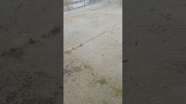 Утопленники в Сочи смотреть онлайн