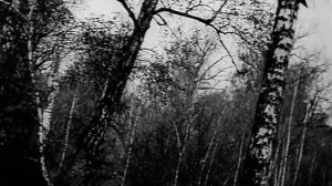 Обратной дороги нет _ Ты сам себе выбрал нелёгкую долю