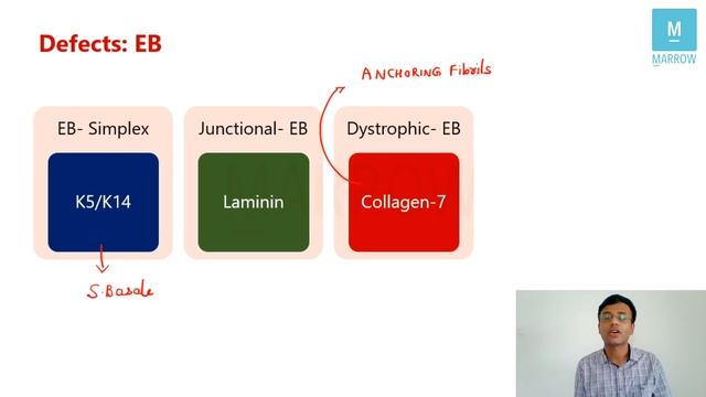 Dermatology AIIMS 2020 Recall session (We are with you) смотреть онлайн