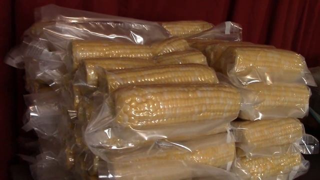 Sweet Corn Harvest | Part 3 | Ready To Freeze смотреть онлайн