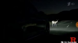 НОВЫЙ Volkswagen Touareg Paw Patrol