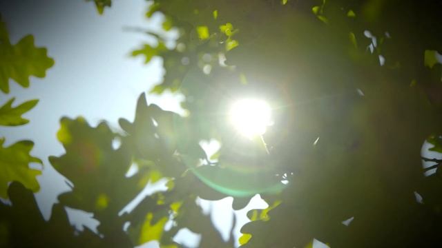 Body and soul. Осень. Грусть. смотреть онлайн