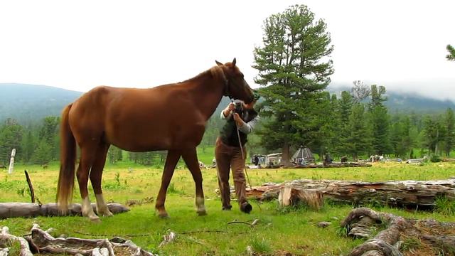 Кызылгак - утро перед седловкой.avi смотреть онлайн