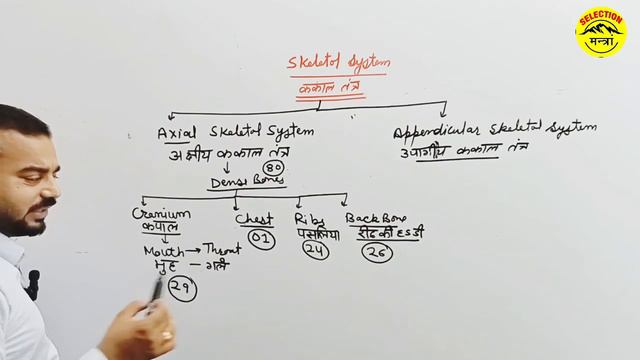 All Competitive Exam General Science Sekeltol System Part-1 смотреть онлайн