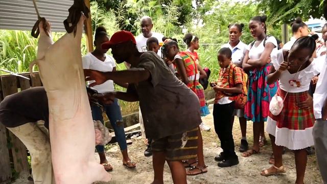 The Corinth Secondary School Joins Festivities As Nation Prepares For Sunday`s Jounen Kweyol смотреть онлайн