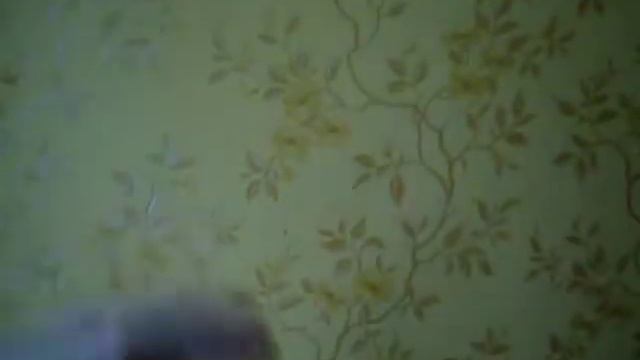 Ремонт квартиры своими руками - Стенка со стороны кухни смотреть онлайн