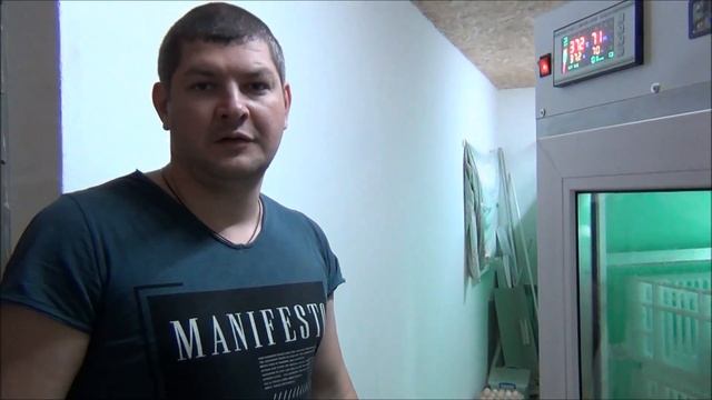 Поставки инкубационного яйца продолжаются ,вывод цыплят,фазан смотреть онлайн