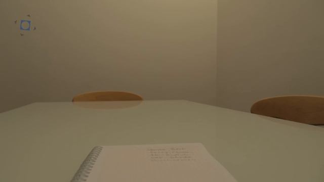 HSV, van Marwijk, Slomka, Aufsichtsrat, van der Vaart смотреть онлайн