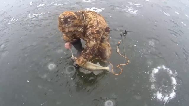 В погоне за клыком. Ловля судака на вибы. смотреть онлайн