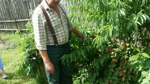 20 лет Юбилей. Клуб по интересам 