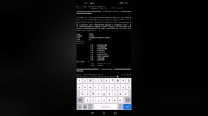 Рено Сценик 2/Меган 2 - меняем язык панели приборов!!! Используем ELM и приложение Pyren!!!