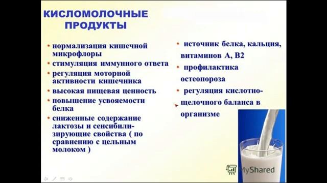 Кулинарное Путешествие