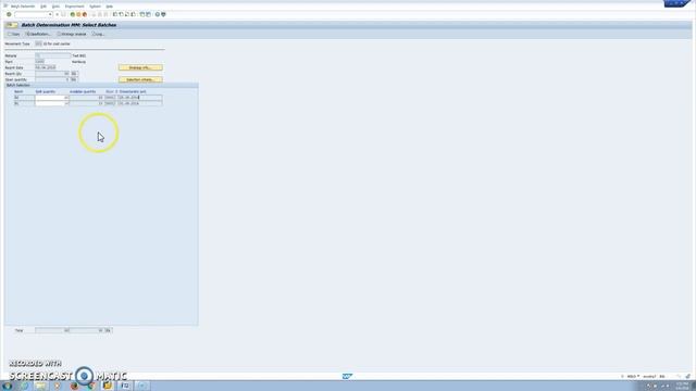 SAP Batch Search Strategy FIFO, LIFO, FEFO смотреть онлайн