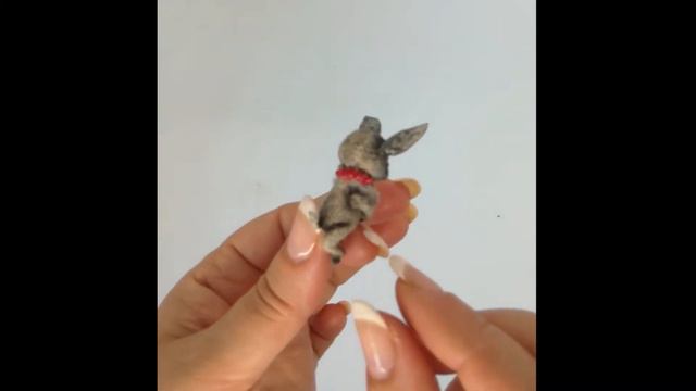 Chihuahua. Miniature dog смотреть онлайн