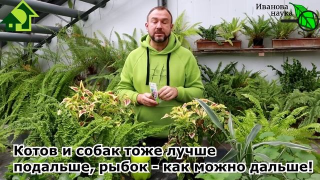 Строительные Карты