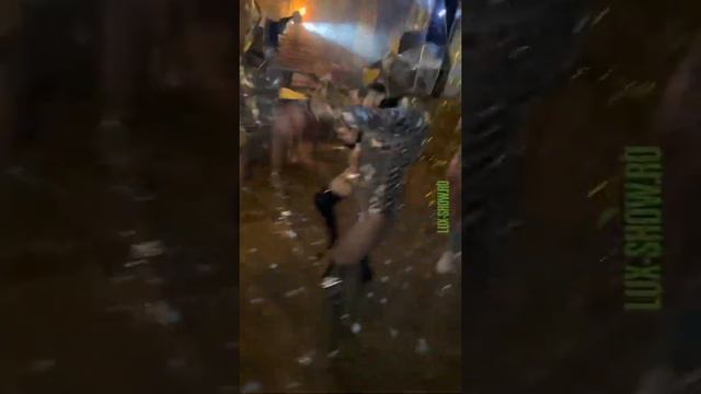 Зеркальные девушки в образах животных смотреть онлайн