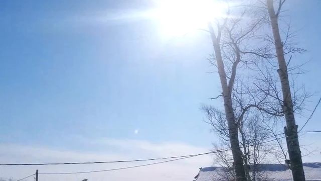 Как проходили Профолимпийские игры на Л. Б. Хапсоль смотреть онлайн