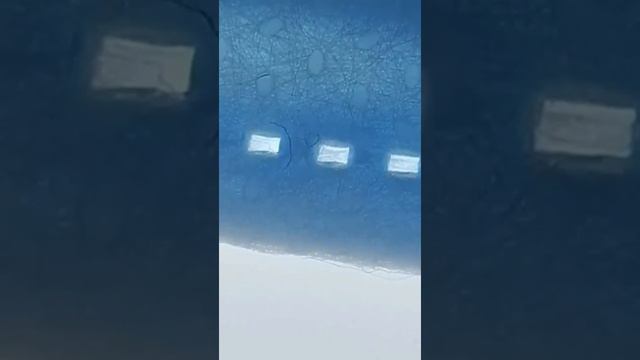 Моргеллоны на масках. Реагируют на дыхание человека и 