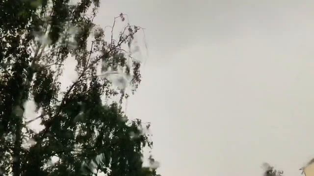 Минск накрыла непогода: град, молнии и шквалистый вечер смотреть онлайн