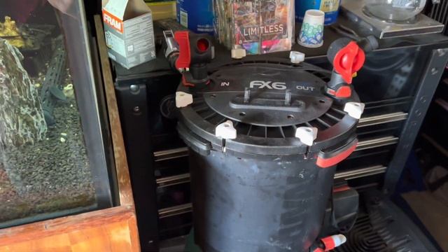 Большой аквариум у большого дяди с добрым сердцем? смотреть онлайн