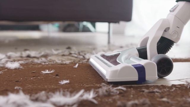 ROWENTA - Air Force Flex 560 - Animal Care смотреть онлайн