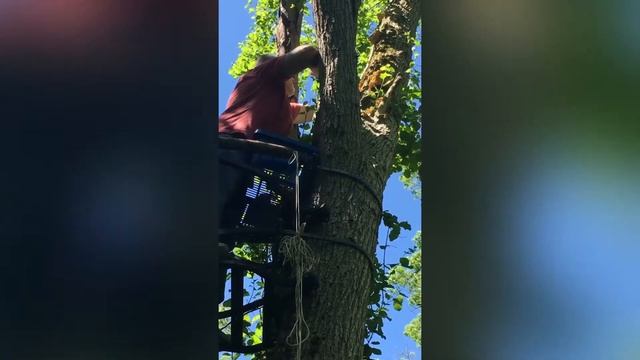 The Things We Do For Mushrooms смотреть онлайн