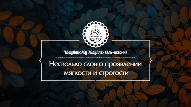 Несколько слов о проявлении мягкости и строгости смотреть онлайн