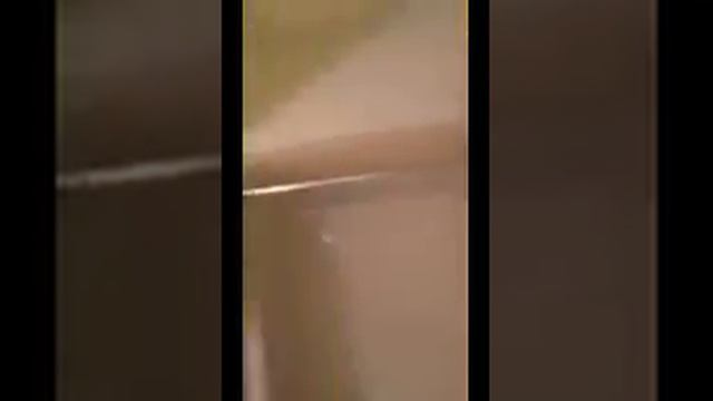 Reason NOT to allow Michelle Baron become your roommate! смотреть онлайн