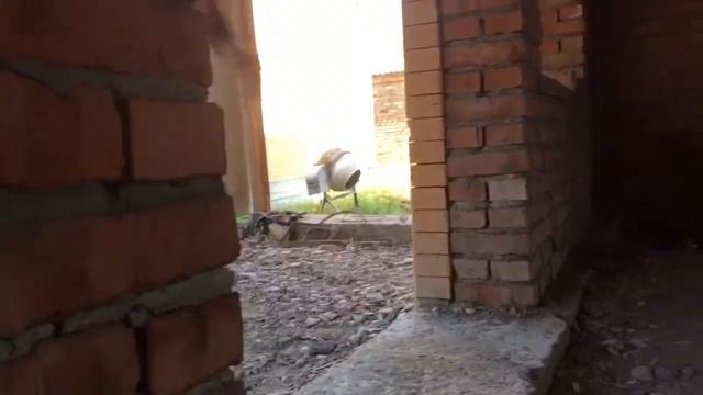 Мескер-Юрт смотреть онлайн