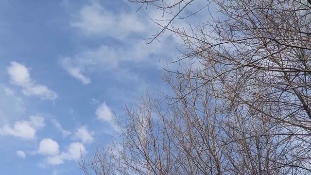 5 апреля народный праздник НИКОНОВ ДЕНЬ . народные приметы и традиции смотреть онлайн