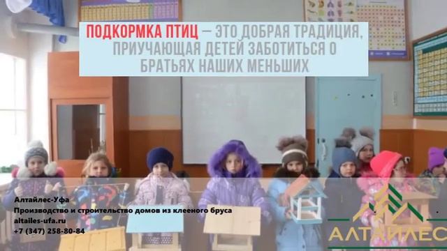 Школьные лесничества установили кормушки для птиц в лесу.mp4 смотреть онлайн