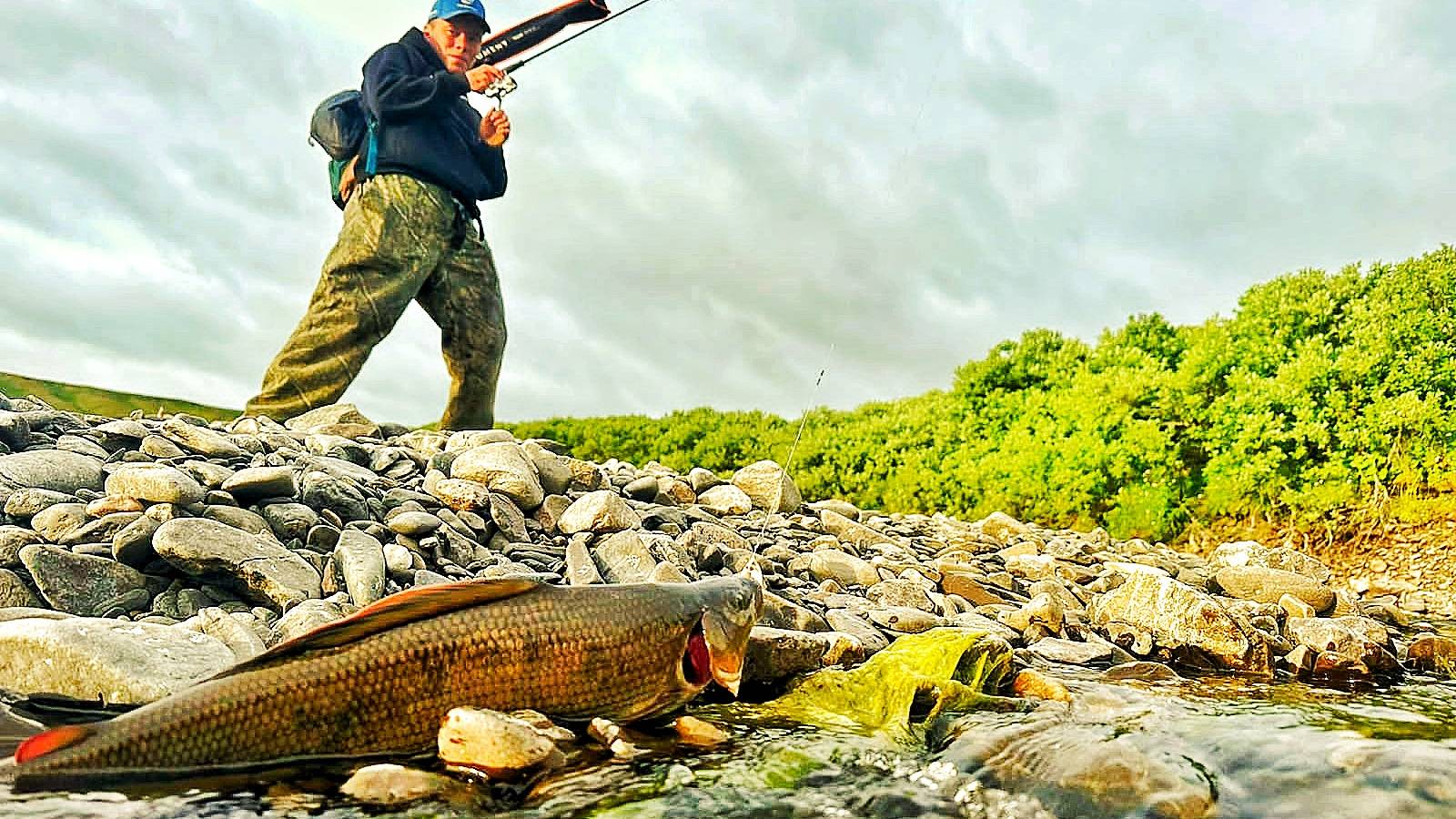 Я В ШОКЕ !! ЭТА ЯМА КИШИТ КРУПНЯКОМ !!! ЛУЧШАЯ РЫБАЛКА СЕЗОНА !!! смотреть онлайн