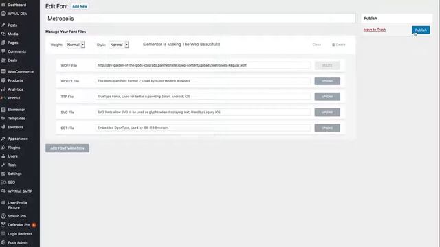 How to Use Custom Fonts in Elementor смотреть онлайн
