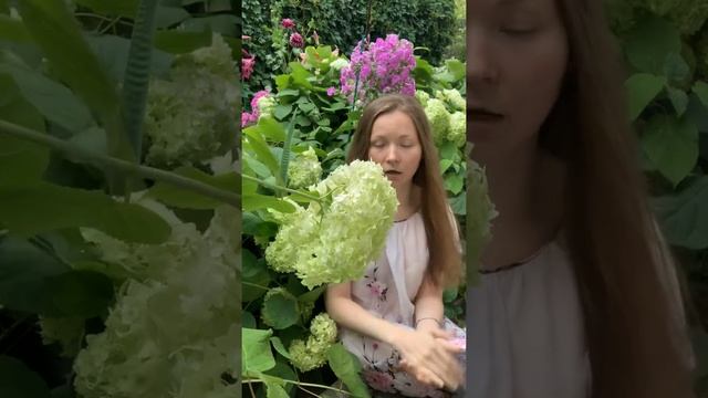 Несчастный случай. Порядок расследования, учёта, оформления несчастных случаев на производстве??? смотреть онлайн