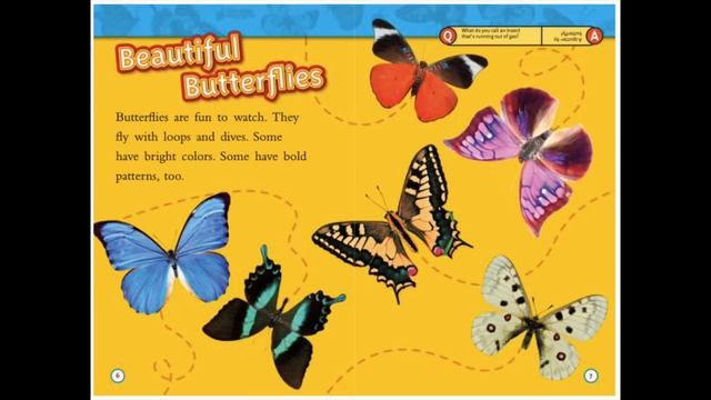 Preschool Videos - Circle Time, Songs, Reading, Movement and More - Learning Video смотреть онлайн
