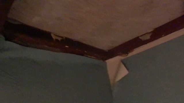 ОБОИ в ванной комнате!!!!Хорошо это или плохо? смотреть онлайн