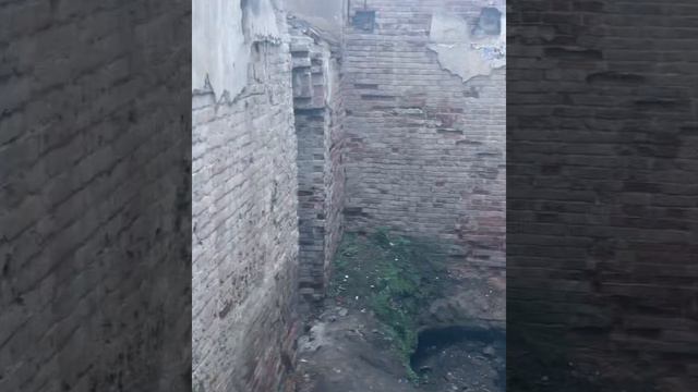 Поездка в Деевскую усадьбу смотреть онлайн