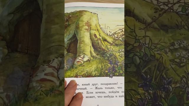 Сказки и истории Ежевичной поляны ? Истории Ежевичной поляны.  Приключения на Ежевичной поляне