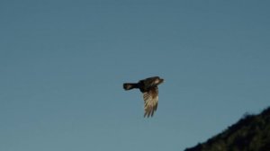 Сериал,, конец невинности'' на Первом канале (1-32 серии) 1 сезон - описание эпизода (сюжет)